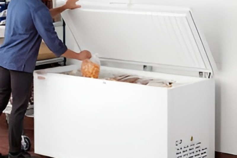 Freezer Repair in Tampa